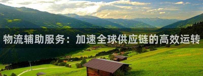 多多28官网注册：物流辅助服务：加速