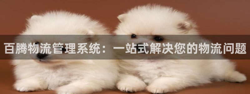 多多28口内径是多大：百腾物流管理系