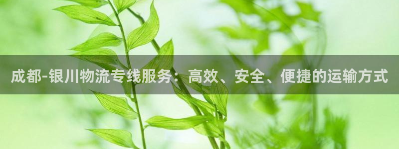 多多28农业银行是狗卡吗：成都-银川