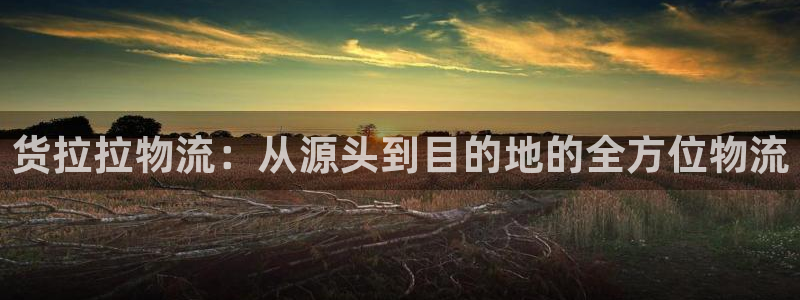 多多28官网入口pc正版：货拉拉物流