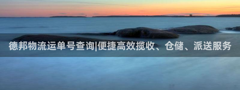 多多28官方网站是多少：德邦物流运单