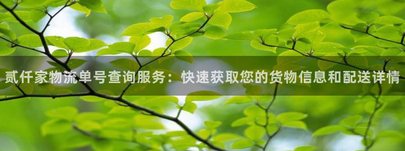 南宫多多28怎么注册：贰仟家物流单号