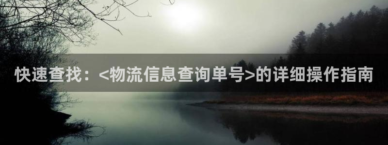 多多28加拿大28：快速查找：<物流