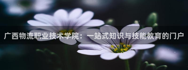 多多28官网入口官网：广西物流职业技