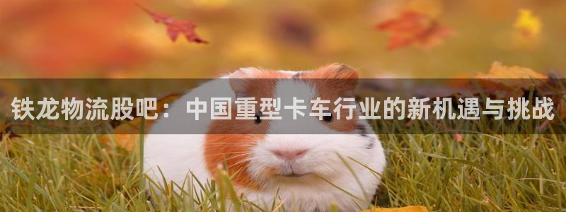 多多28官网下载多少：铁龙物流股吧：