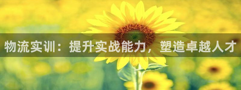 多多28口：物流实训：提升实战能力，