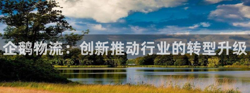 多多28黑平台吗：企鹅物流：创新推动