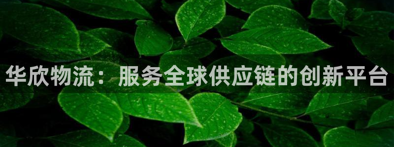 多多28p扣除是什么意思：华欣物流：