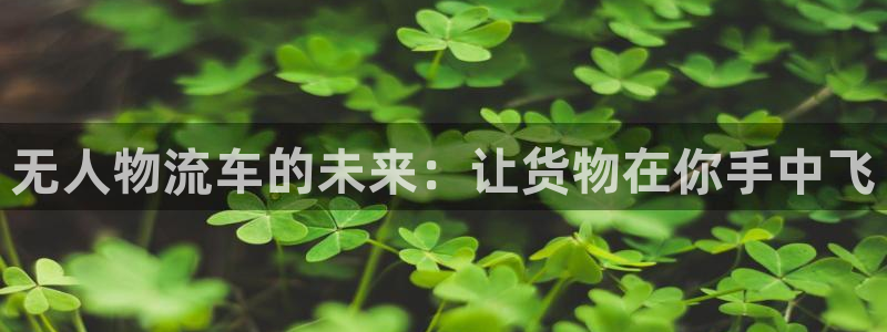 多多28怎么注册下载：无人物流车的未