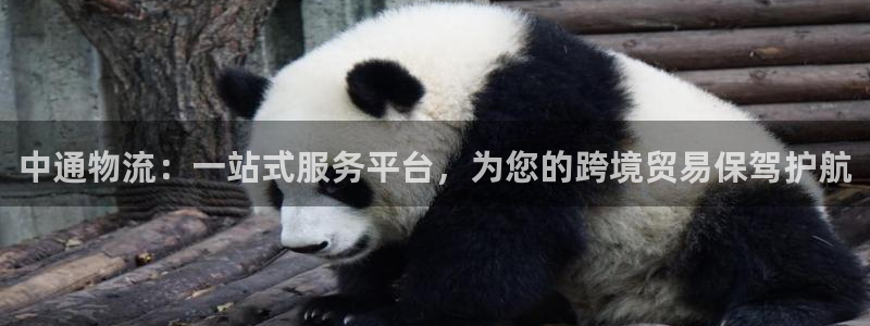 多多28注册链接入口：中通物流：一站