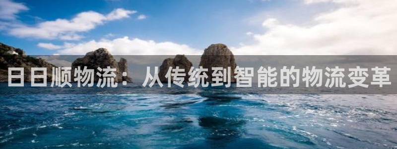 多多28注册问一问：日日顺物流：从传