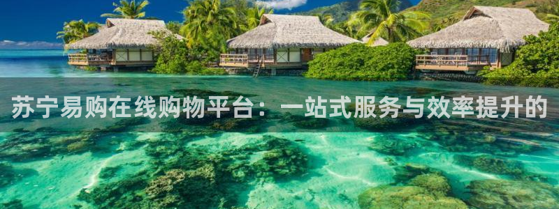 多多28违法吗：苏宁易购在线购物平台