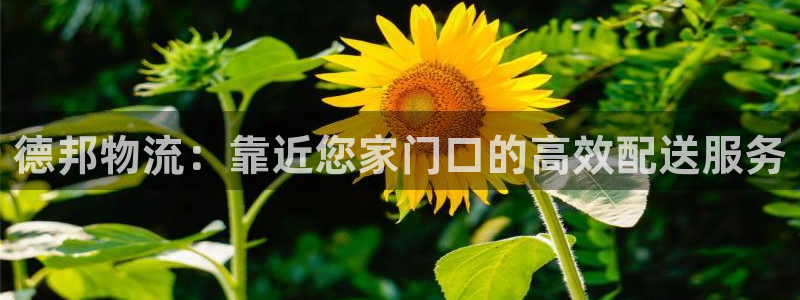 多多28口：德邦物流：靠近您家门口的