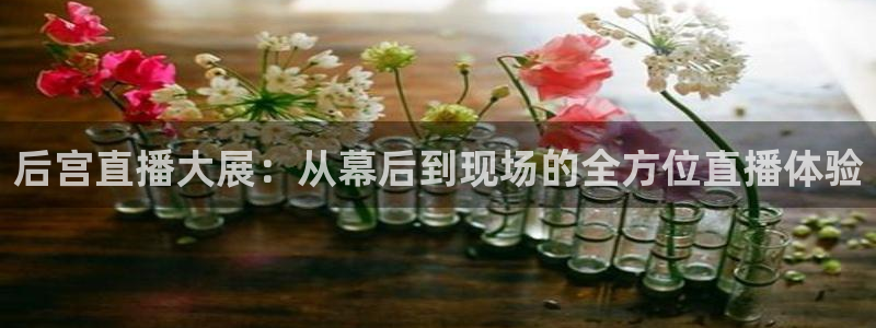 说球帝官网下载：后宫直播大展：从幕后到现场的全方位直播体验