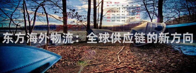多多28游戏：东方海外物流：全球供应