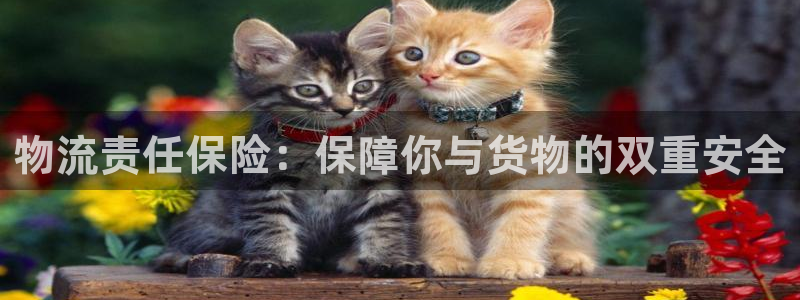 多多28官网下载多少钱：物流责任保险