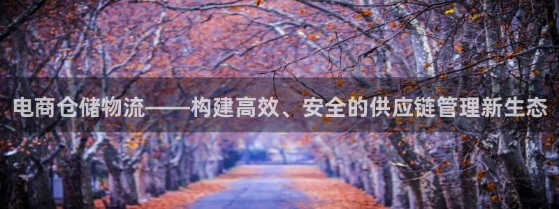 多多28怎么下载：电商仓储物流——构