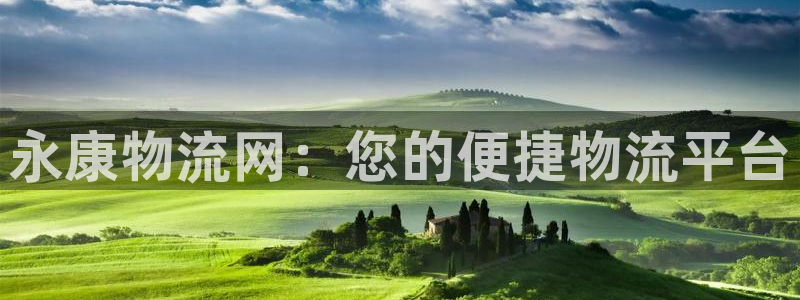 多多28官网版下载：永康物流网：您的便捷物流平台