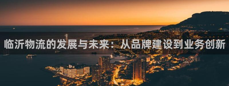 多多28口内径是多大：临沂物流的发展