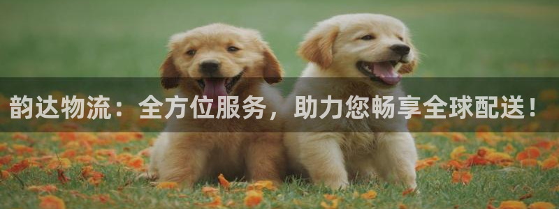 多多28反水怎么算：韵达物流：全方位