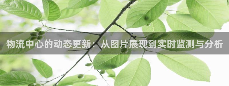 多多28能提现吗：物流中心的动态更新