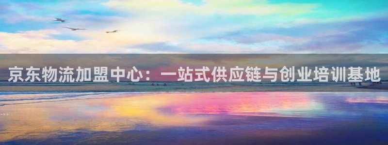 多多28返水怎么算的：京东物流加盟中