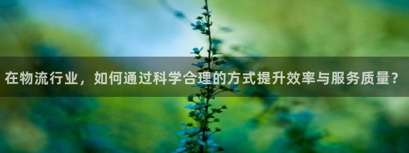 多多28如何看计划：在物流行业，如何