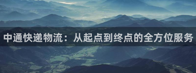 多多28怎么下载不了：中通快递物流：从起点到终点的全方位服务