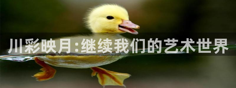 说球帝免费直播