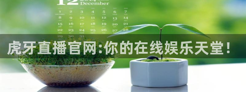说球帝下载