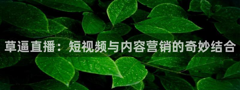 nba直播在线观看说球帝