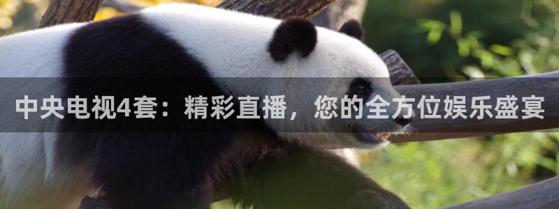 说球帝最新版免费直播